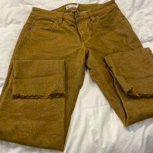 jeans / corduroy jeans